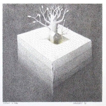 25-d