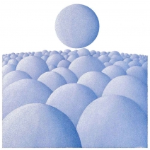 29-b-bis