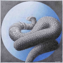 46