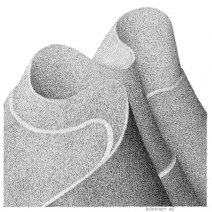6-d